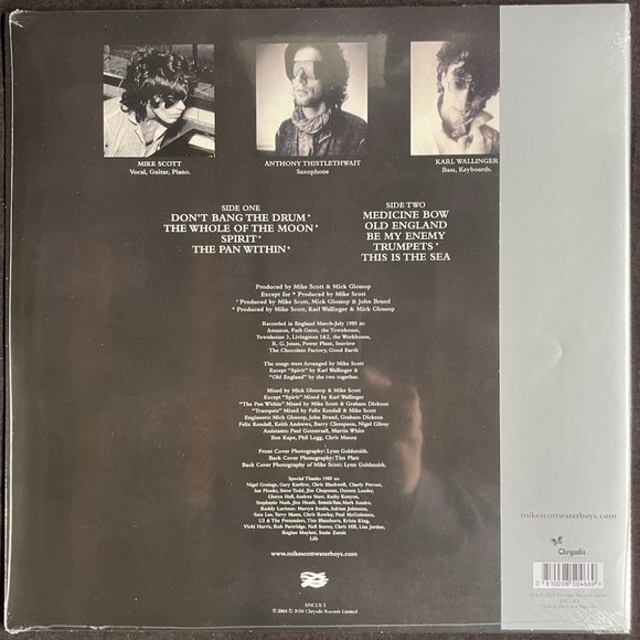 The Waterboys This Is The Sea Limited 180 Gram Clear Vinyl, LP, Reissue, Chrysal - Picture 2 of 2